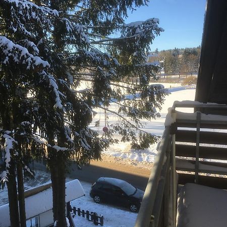 Fewo Andresen Hahnenklee Γκόσλαρ Εξωτερικό φωτογραφία