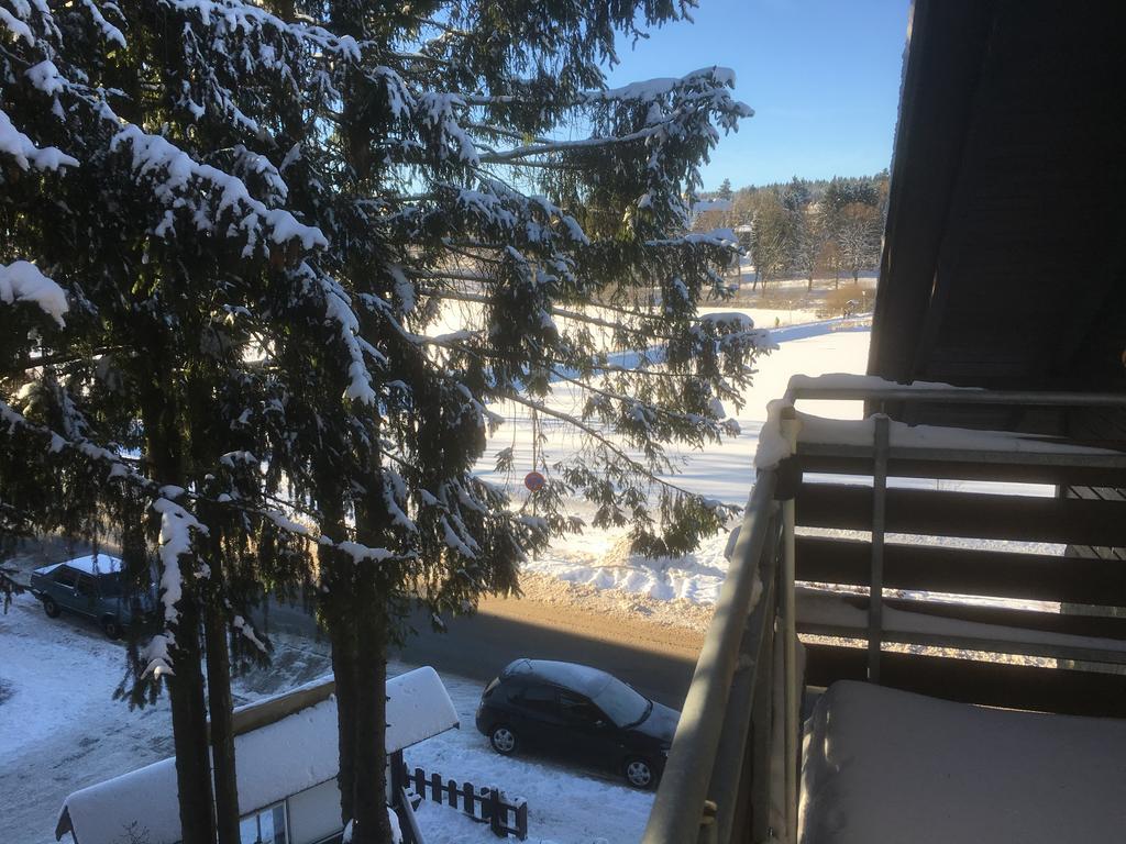 Fewo Andresen Hahnenklee Γκόσλαρ Εξωτερικό φωτογραφία